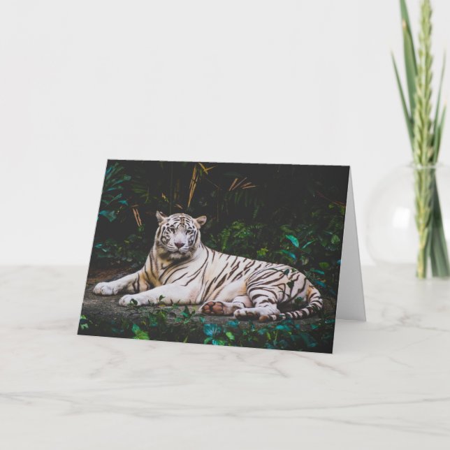 Cartão de Saudação Tiger (Frente)