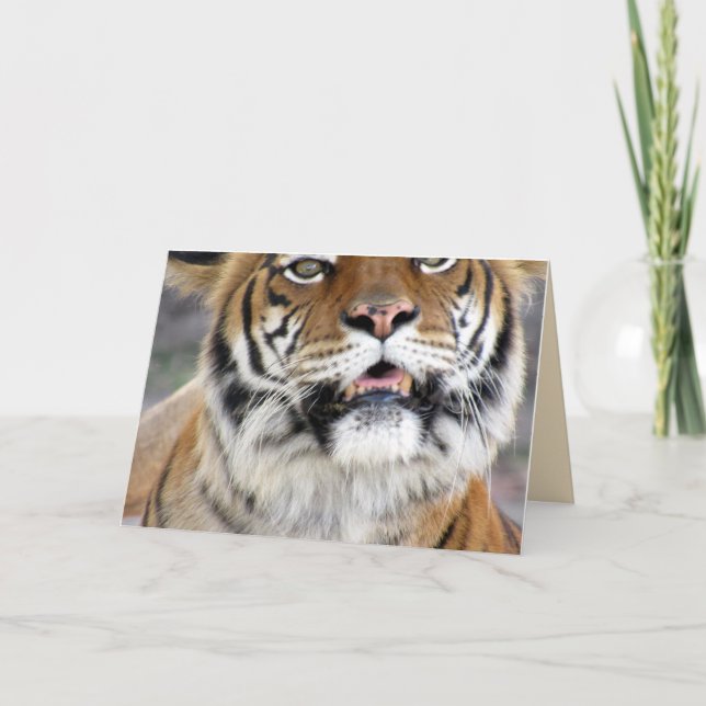Cartão de Saudação Tiger (Frente)