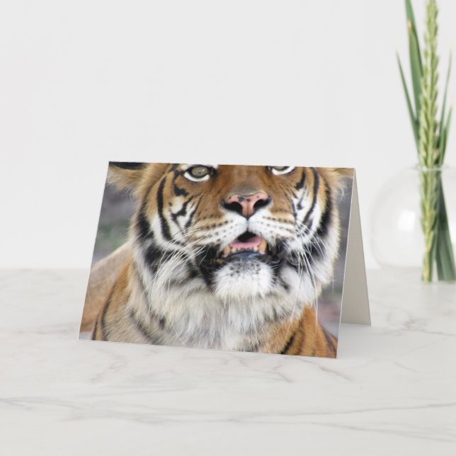 Cartão de Saudação Tiger (Frente)
