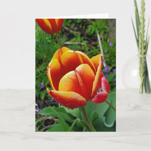Cartão de saudação Tulip