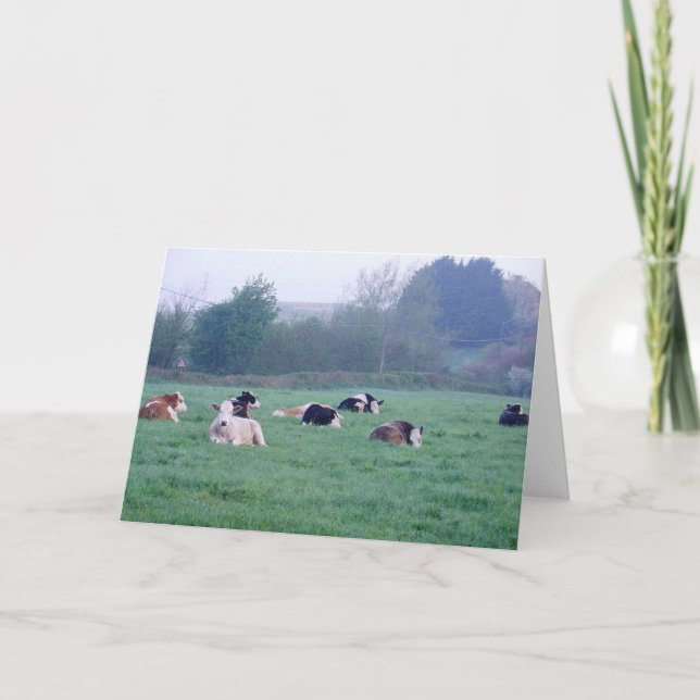 Cartão de Saudação - Vacas A Cor (Frente)