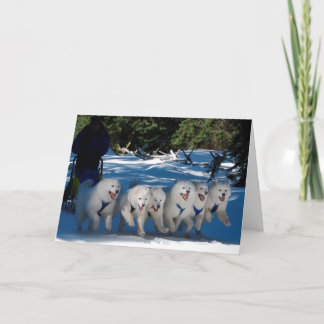 Cartão de saudação "Ventilador Sombra"