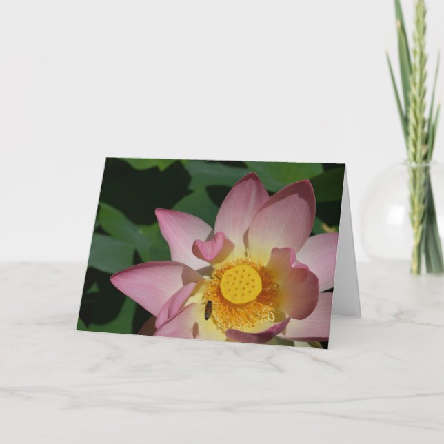 Cartão de Saudação "Vivo Presente" (Frente)