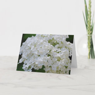 Cartão de Saudação White Hydrangeas