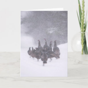 Cartão de Saudação Wild Turkey