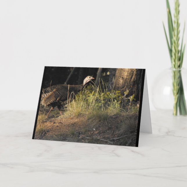 Cartão de Saudação Wild Turkey (Frente)