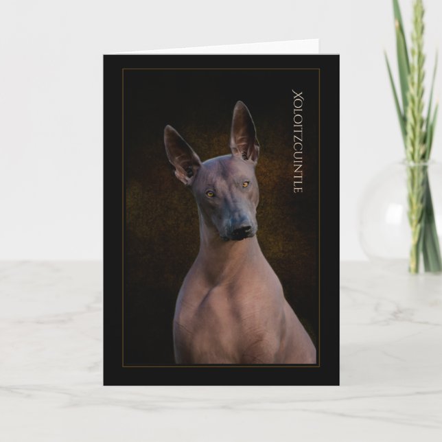 Cartão de Saudação Xoloitzcuintli (Frente)