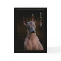 Cartão de Saudação Xoloitzcuintli