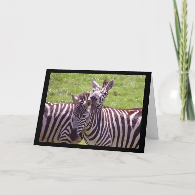 Cartão de Saudação Zebra (Frente)