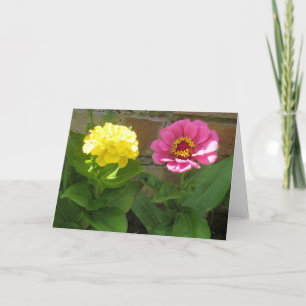 Cartão de Saudação Zinnias Rosa e Amarelo