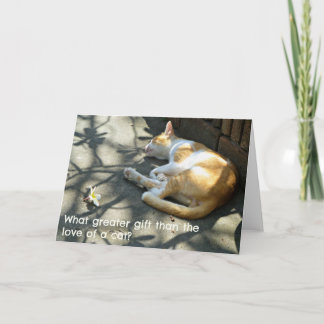 Cartão de Saudações Cat - Que Presente Maior?