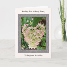 Cartão de Segurança Inspiracional com Hydrangea Ro