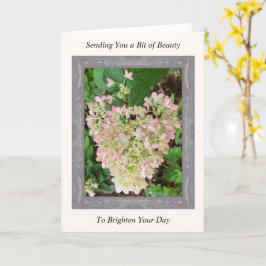Cartão de Segurança Inspiracional com Hydrangea Ro