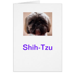 Cartão de Shih-Tzu