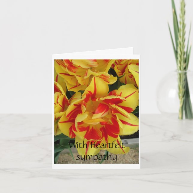 cartão de simpatia (Frente)