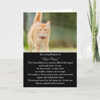 Cartão de simpatia de gato com foto personalizada 