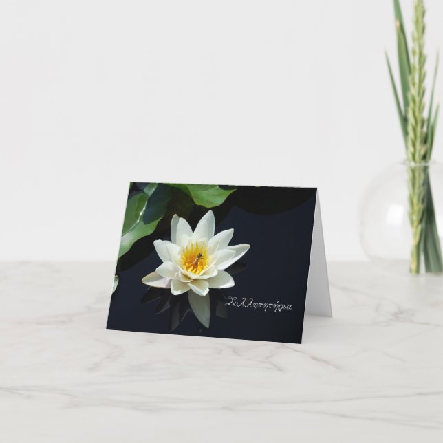 Cartão de simpatia grego com branco waterlily (Frente)