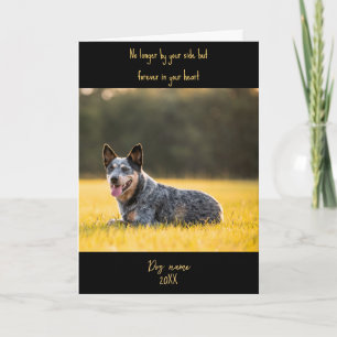 Cartão de simpatia para cão por perda memorial com