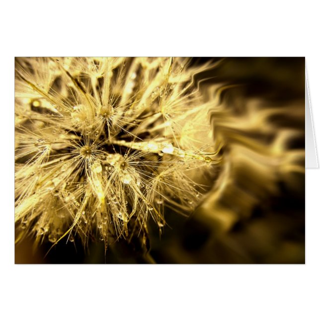 Cartão de Sonhos Dandy ouro (Frente Horizontal)