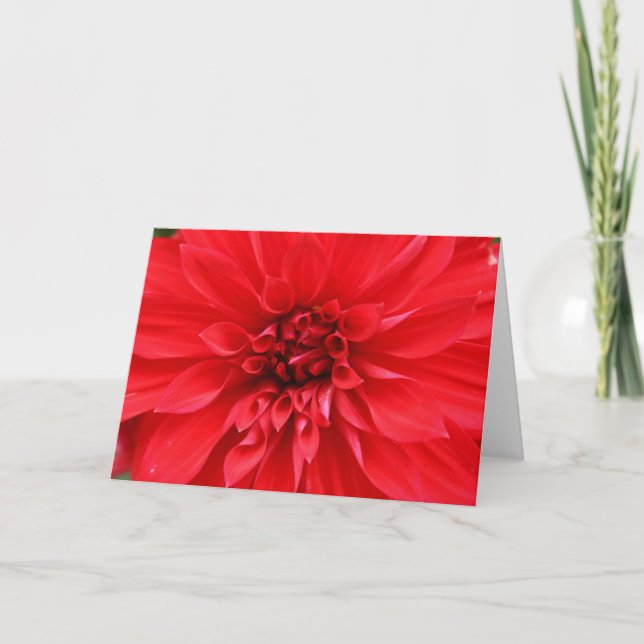 Cartão de Sun do inverno (Frente)