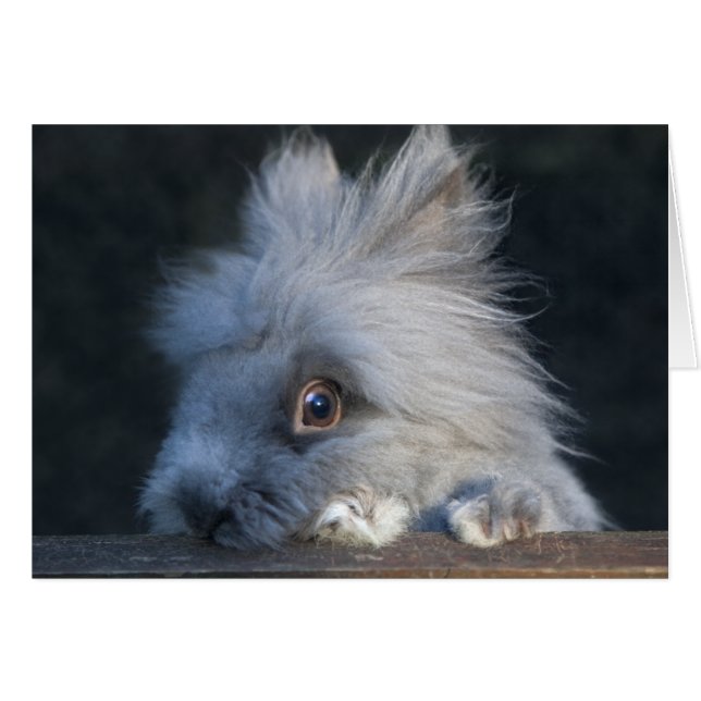 Cartão de Taz (Frente Horizontal)