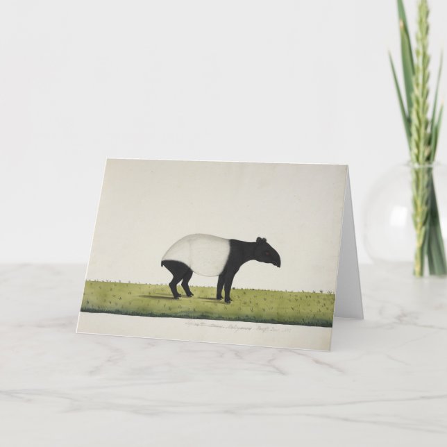 Cartão de Tepir (Frente)