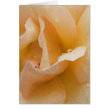 Cartão de toque gentil da Grace