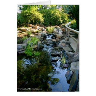 Cartão de tranquilidade