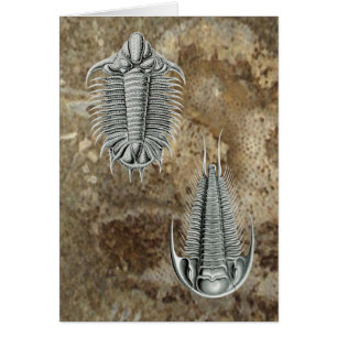 Cartão de Trilobites