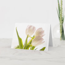 Cartão de Tulipas Brancas para Todas as Ocasões