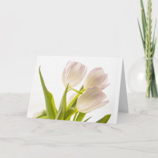 Cartão de Tulipas Brancas para Todas as Ocasões
