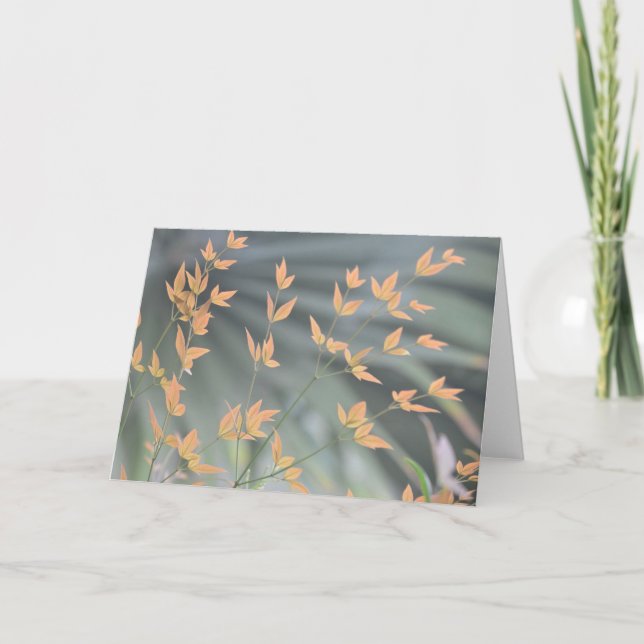 cartão de vazio das folhas graciosas (Frente)