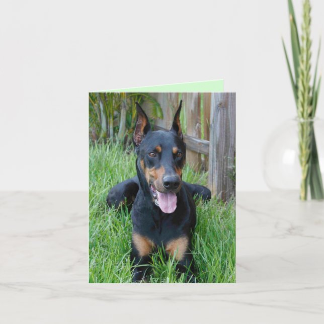 Cartão de Vazio de Cão Doberman Pinscher Puppy (Frente)
