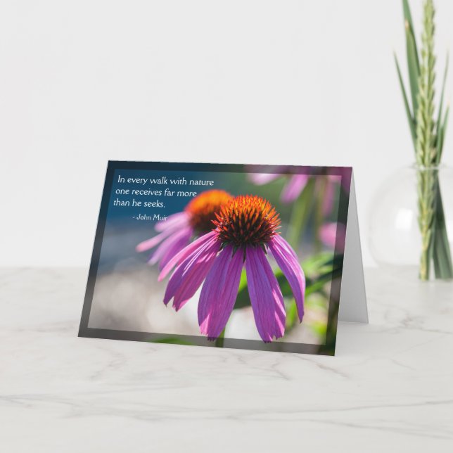 Cartão de Vazio de Cotação Natureza Echinacea (Frente)