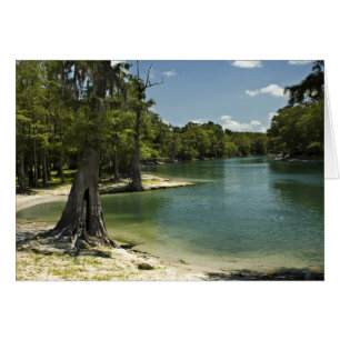 Cartão de Vazio de Praia do Suwannee River