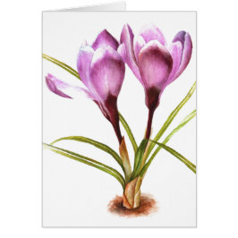 Cartão de vazio de "Purple Crocus" de arte