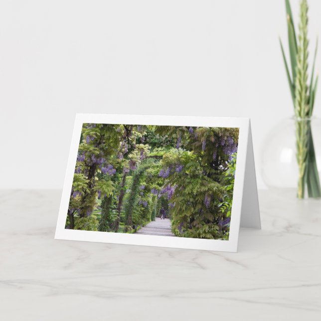Cartão de Vazio de Saudação Dobrada para Wisteria (Frente)
