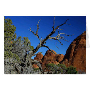 Cartão de Vazio do Arches National Park