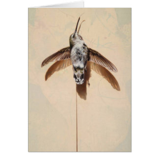 Cartão de Vazio Hummingbird por Andrew Denman