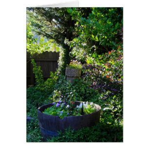 Cartão de vazio, Jardim Viola