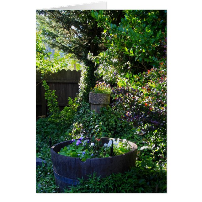 Cartão de vazio, Jardim Viola (Frente)