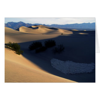 Cartão de Vazio Morning Morning Dunes