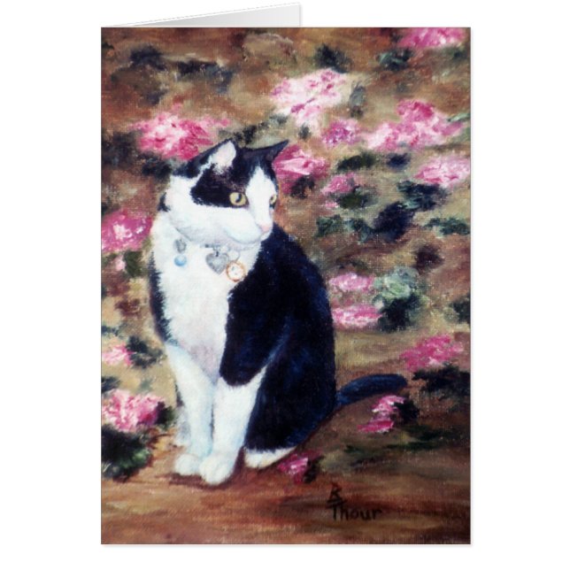 Cartão de Vazio para gatos Kaboodles (Frente)