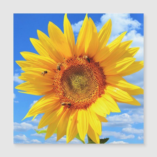 Cartão de Verão Magnético com Girassol Amarelo (Frente)