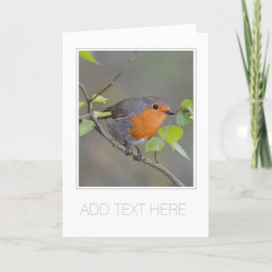 CARTÃO DE VERSÃO PERSONALIZÁVEL "ROBIN REDBREAST"