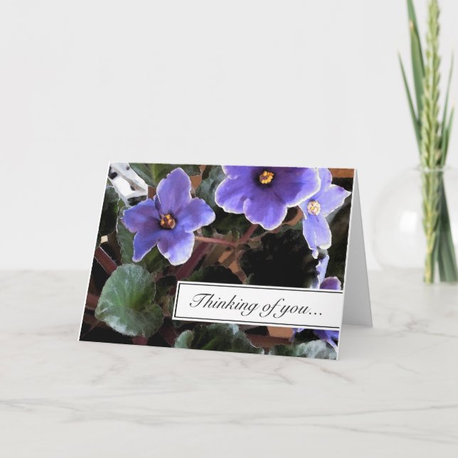 Cartão de Violetas Africanas Pensando em Você (Frente)