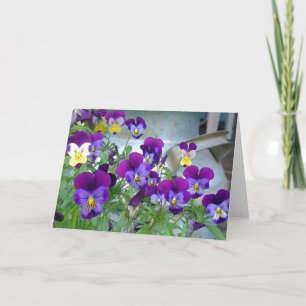 Cartão de Violetas de LeAnn