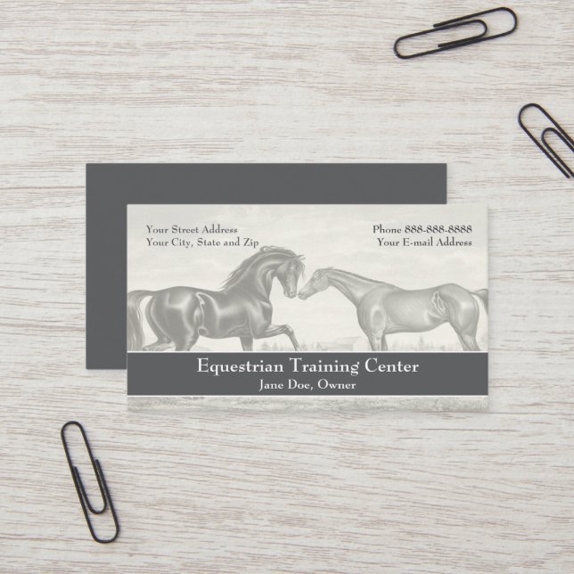 Cartão de visita (Frente/Verso In Situ)