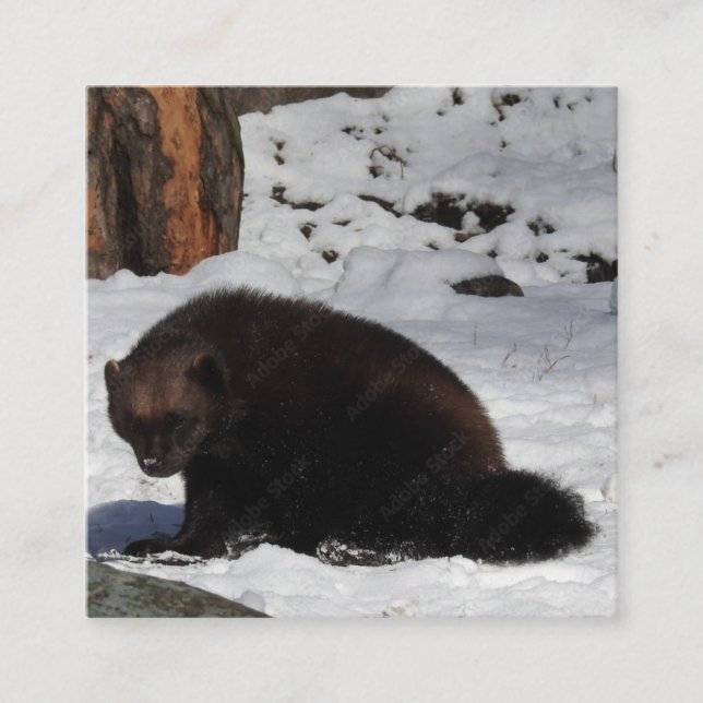 Cartão de visita (Frente)