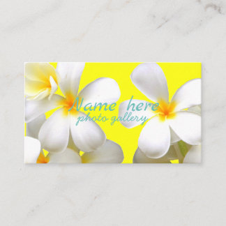 Cartão De Visita 米スタンダード 8.89cm x 5.08cm名刺